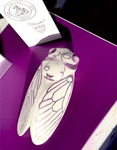 La Cigale Authentique en Collaboration Artistique - Louis Sicard x Clément Rosenberg